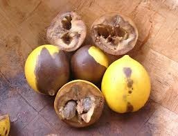 Zakian Surveyors &amp;amp; Loss Adjusters L.L.C  Worldwide