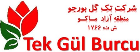 ترخیص کالا از گمرکات