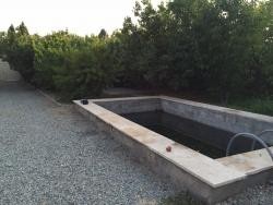 فروش باغ میوه در خوشنام کرج