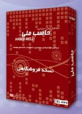 Accounting software version store