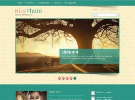 Web design and SEO(site optimization)