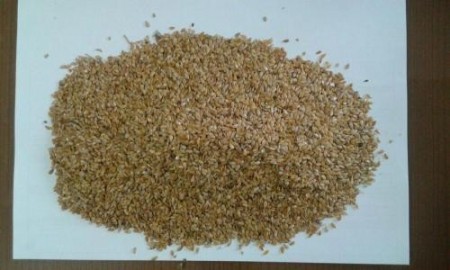 Flax seed (linseed)