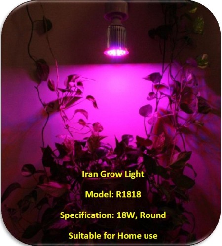 چراغ رشد گیاه