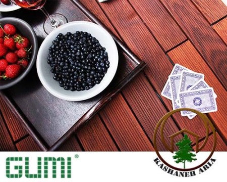 کاشانه آریا - ترمووود فنلاند -