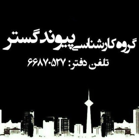 گروه کارشناسی رسمی دادگستری پیوند گستر