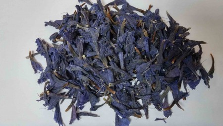 The sale of seeds of borage ( borage )