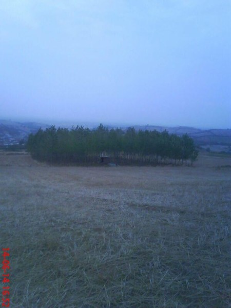 Sale garden سنوبر