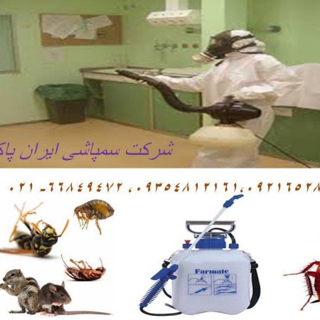 سم پاشی زیرنظر بهداشت (تمام نقاط تهران)