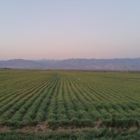 The sale of agricultural land with facilities