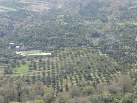 فروش باغ کشاورزی 7.5 هکتار