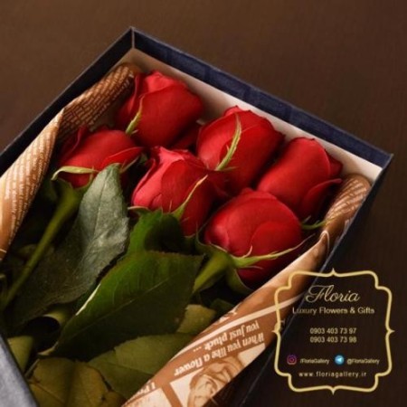 باکس رز هلندی فلوریا