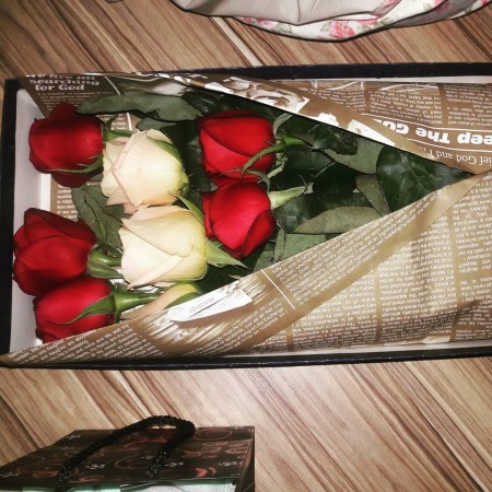 باکس رز هلندی فلوریا