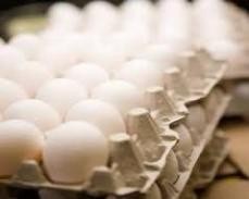 شرکت شانه و کارتن لیا