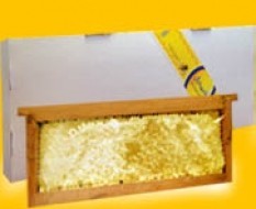 عسل شهدبال عسل طبیعی سبلان