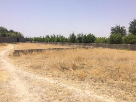 زمین .زکی آباد