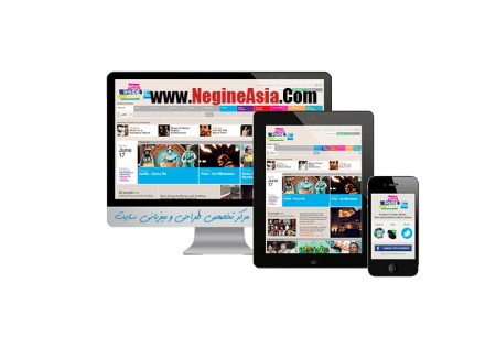 The design of the site professional