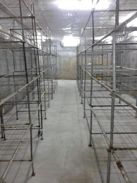 قفسه پرورش قارچ