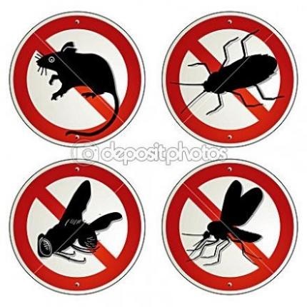 سم پاشی تضمینی منازل، رستوران، دفتر کار و ادارت