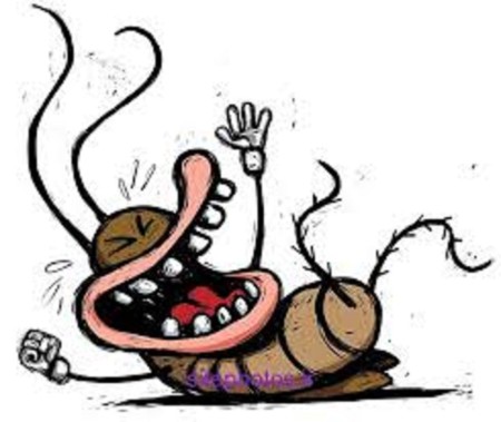 سم پاشی تضمینی منازل، رستوران، دفتر کار و ادارت