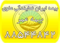 بیمه عمر ایران، بیمه عمر مان (بیمه ایران نمایندگی علوی)