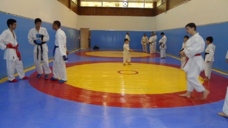 تاتامی/ تشک کشتی نو و دست دوم/روکش تشک کشتی/ تشک ژیمناست