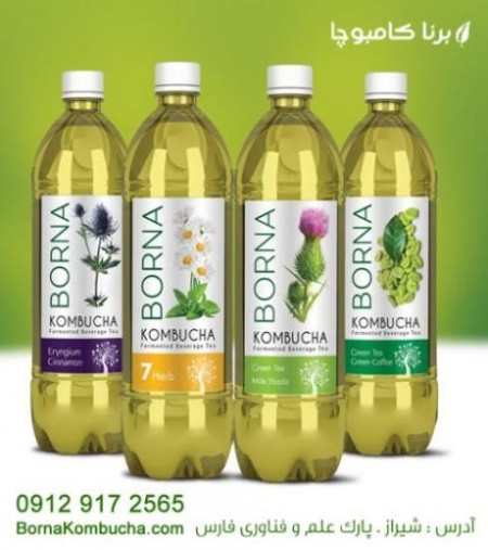 The granting of representation, distribution and selling of drinks, Brenna کامبوچا