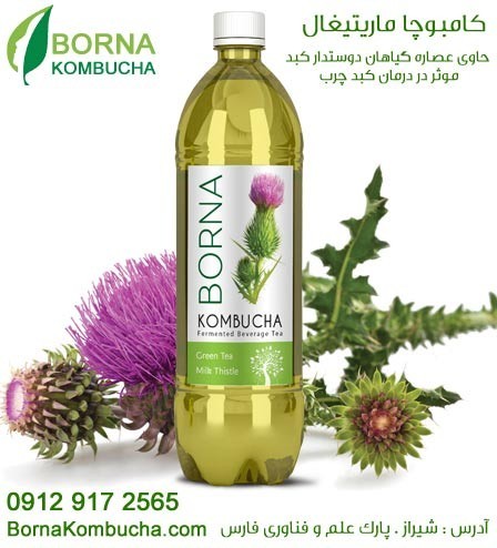 The granting of representation, distribution and selling of drinks, Brenna کامبوچا