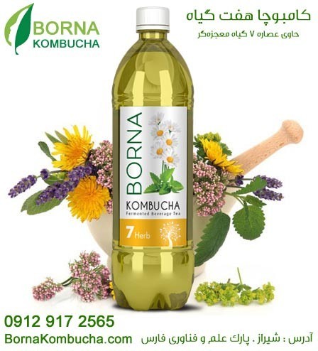 The granting of representation, distribution and selling of drinks, Brenna کامبوچا