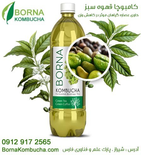 The granting of representation, distribution and selling of drinks, Brenna کامبوچا