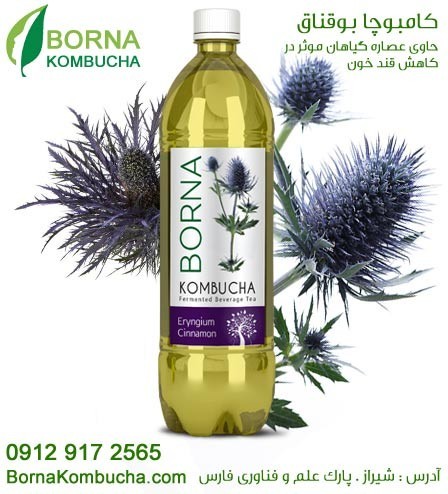 The granting of representation, distribution and selling of drinks, Brenna کامبوچا