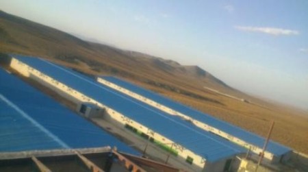 فروش مرغداری گوشتی مدرن