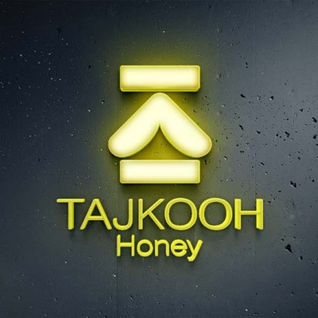 طراحی حرفه ای لوگو و هویت برند