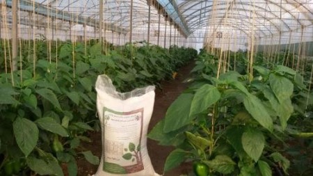 Manure, compost, enriched