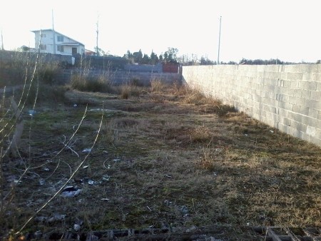 Land for sale price - the location and excellent condition directly-North(زیباکنار)