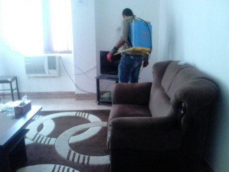 Spraying guarantee against insects