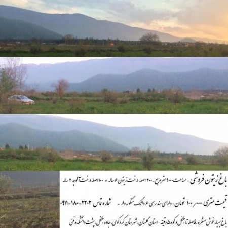 Sales of Olive Garden