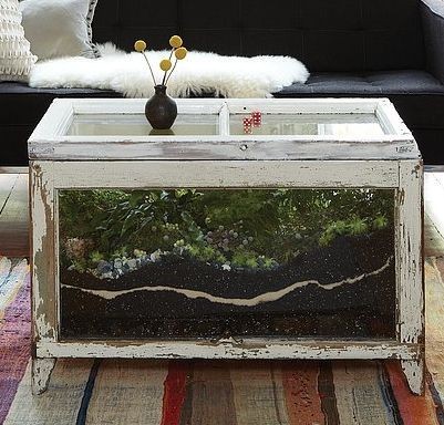 ویواریوم،تراریوم وپالوداریوم