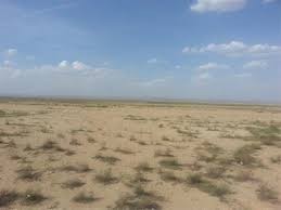 20 هکتار زمین کشاورزی