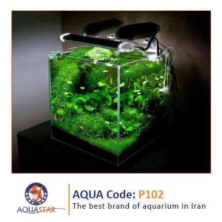 برترین برند اجرای آکواریوم در ایران