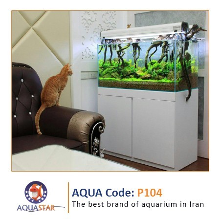 برترین برند اجرای آکواریوم در ایران