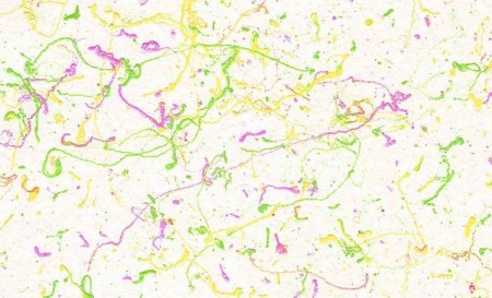 نقاشی و تزئینات داخلی ساختمان