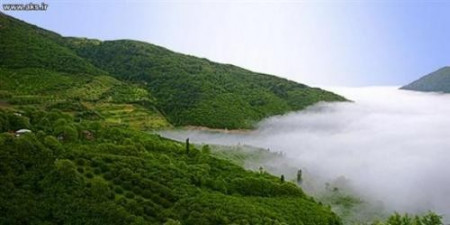 Reserve and rent a variety of villas with well-equipped facilities in the north