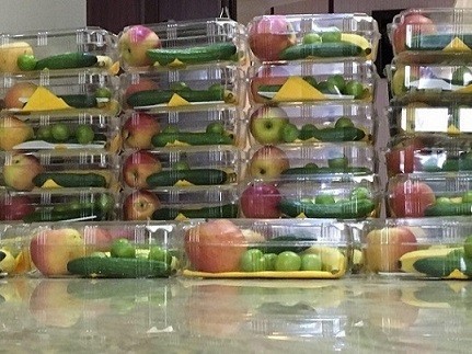 سالاد اسلایس مخلوط میوه ها تک نفری (پارادایس)