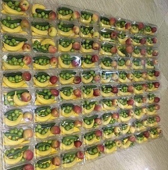 سالاد اسلایس مخلوط میوه ها تک نفری (پارادایس)