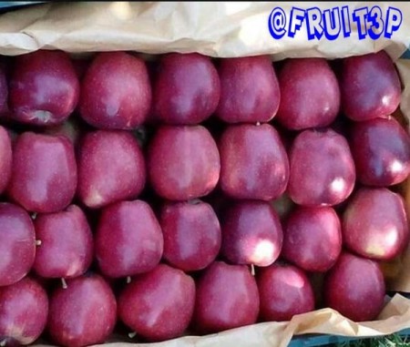 پک پذیرایی میوه (پوپک)