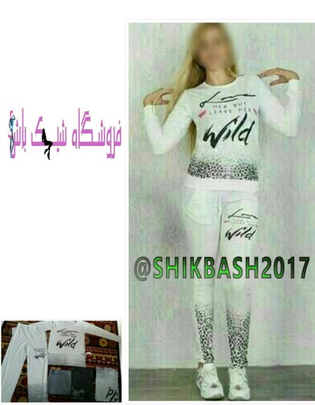 فروشگاه اینترنتی شیک باش