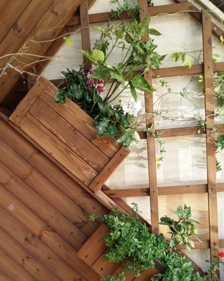 چوب ترمو وود و لمینیت thermowood