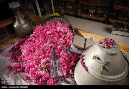 تور گلابگیری کاشان با قطار