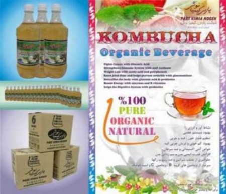 تولید کننده نوشیدنی سنتی کامبوچا
