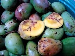 شرکت بازرسان و ارزیابان خسارت زکیان - Zakian Surveyors &amp;amp; Loss Adjusters L.L.C